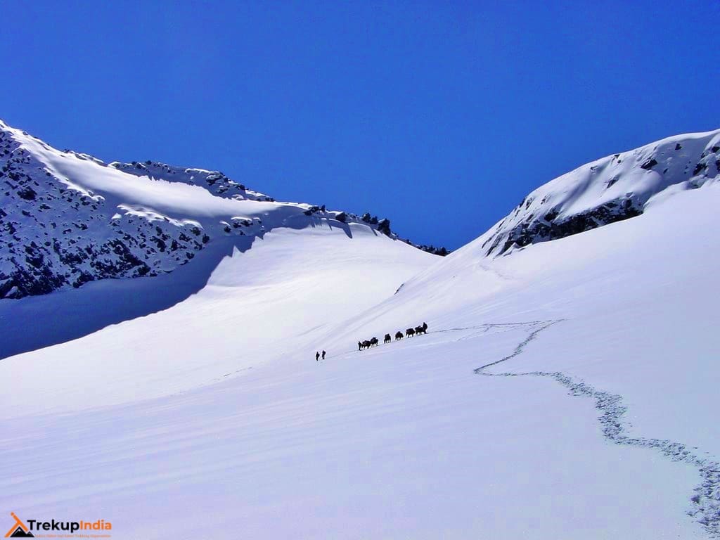 Treks in Himachal Pradesh | Ultimate Adventure Guide to Trekking in the Himalayas 30 Bara Bhangal Trek