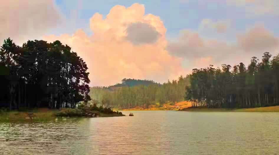All Treks In Tamil Nadu 1 Nilgiris Green Lake Trek