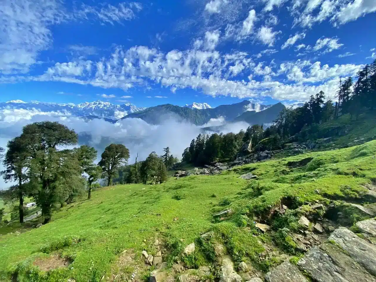 Treks in Uttarakhand | Explore the Best Himalayan Hiking Trails 78 Chopta Chandrashila Tungnath Trek with Deorital