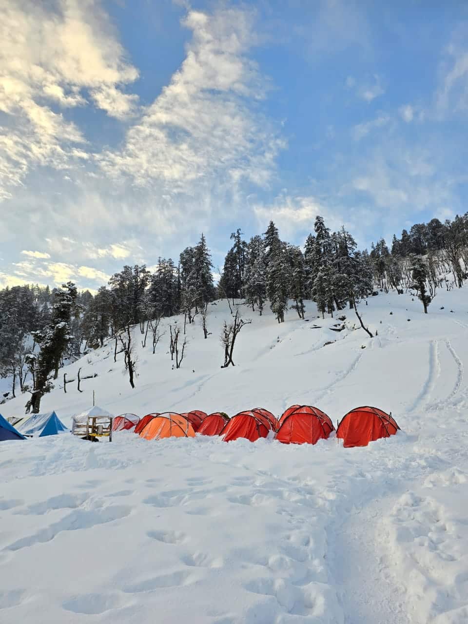 kedarkantha trek