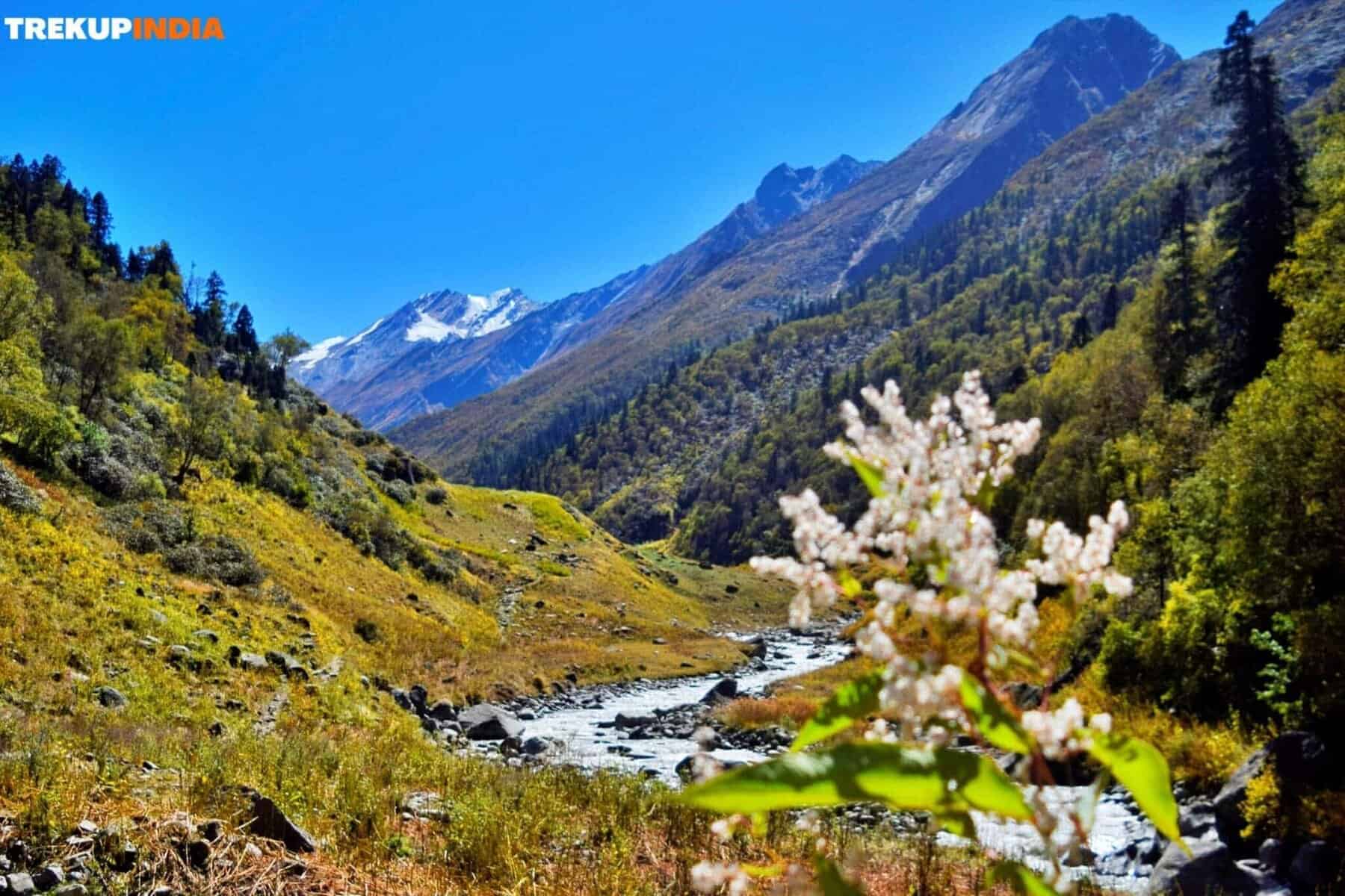 Bali Pass Trek Guide: A Guide to Its Most Beautiful Campsites 4 Rainbasera, bali pass trek