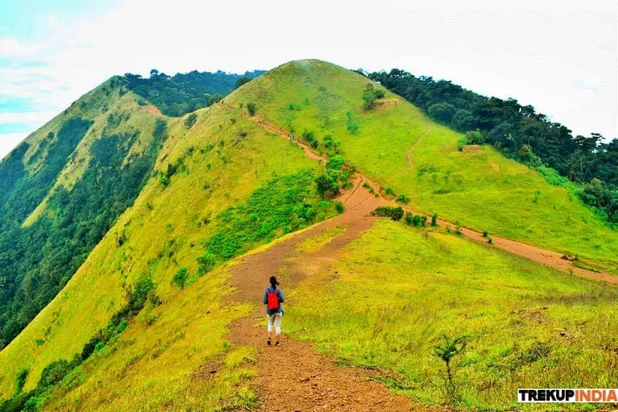 Treks In Karnataka 27 kodachadri trek