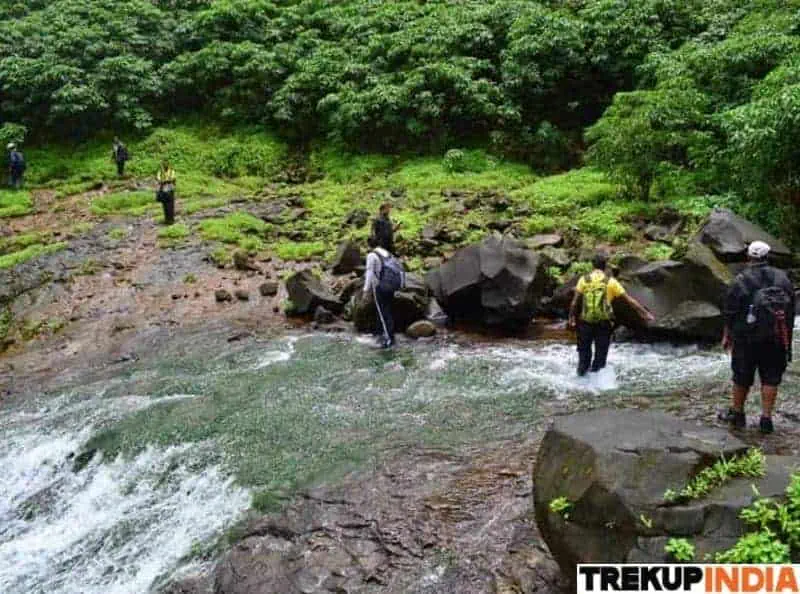 Treks In Maharashtra 5 Andharban Trek