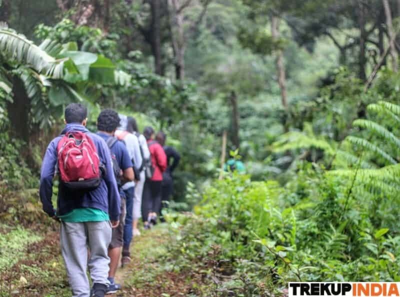 Treks In Karnataka 14 brahmagiri trek