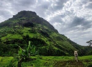 Kamandurg Trek