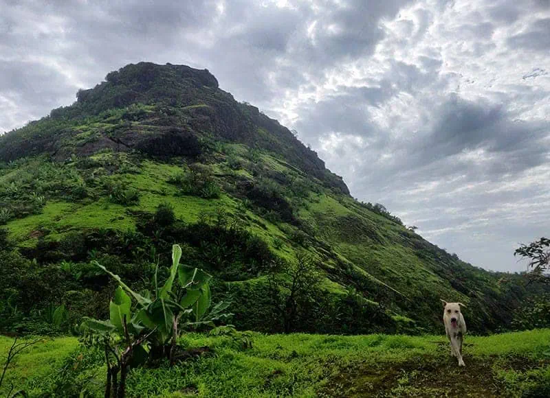 Treks In Maharashtra 18 Kamandurg Trek