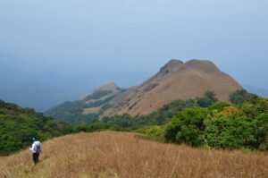 Kopatty Trek