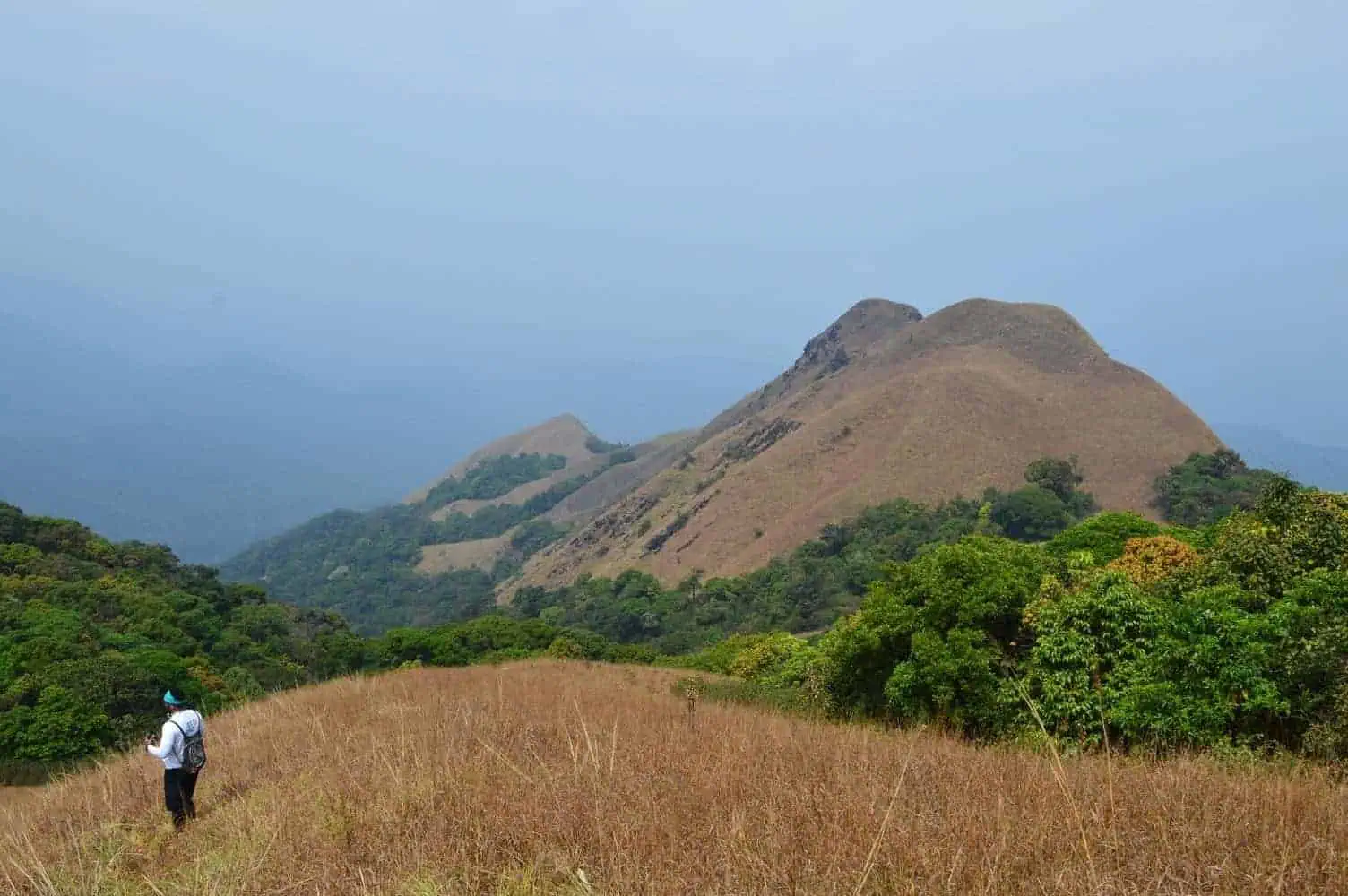 Treks In Karnataka 29 Kopatty Trek