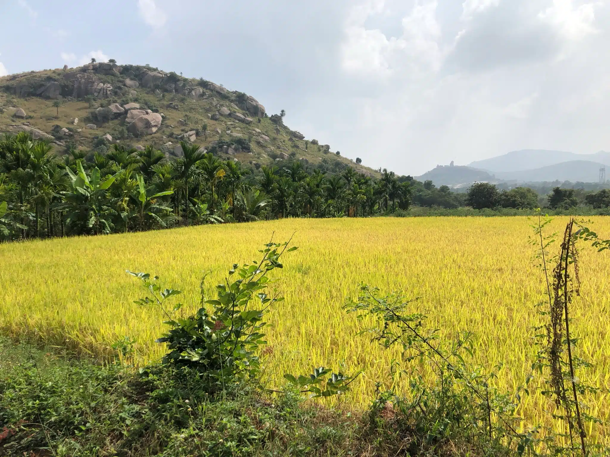 Treks In Karnataka 20 Minchukallu Betta Trek