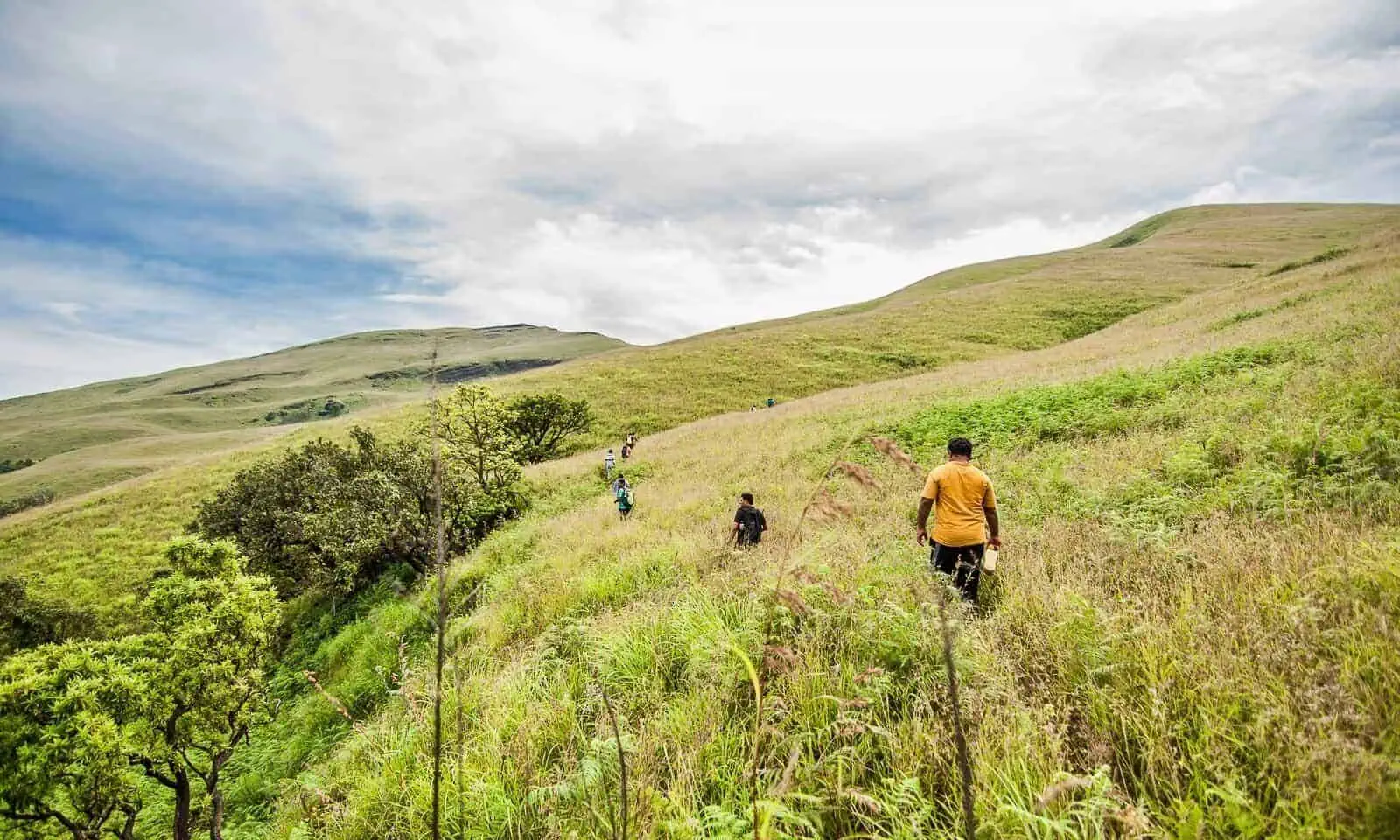 Treks In Karnataka 22 Netravati Peak Trek
