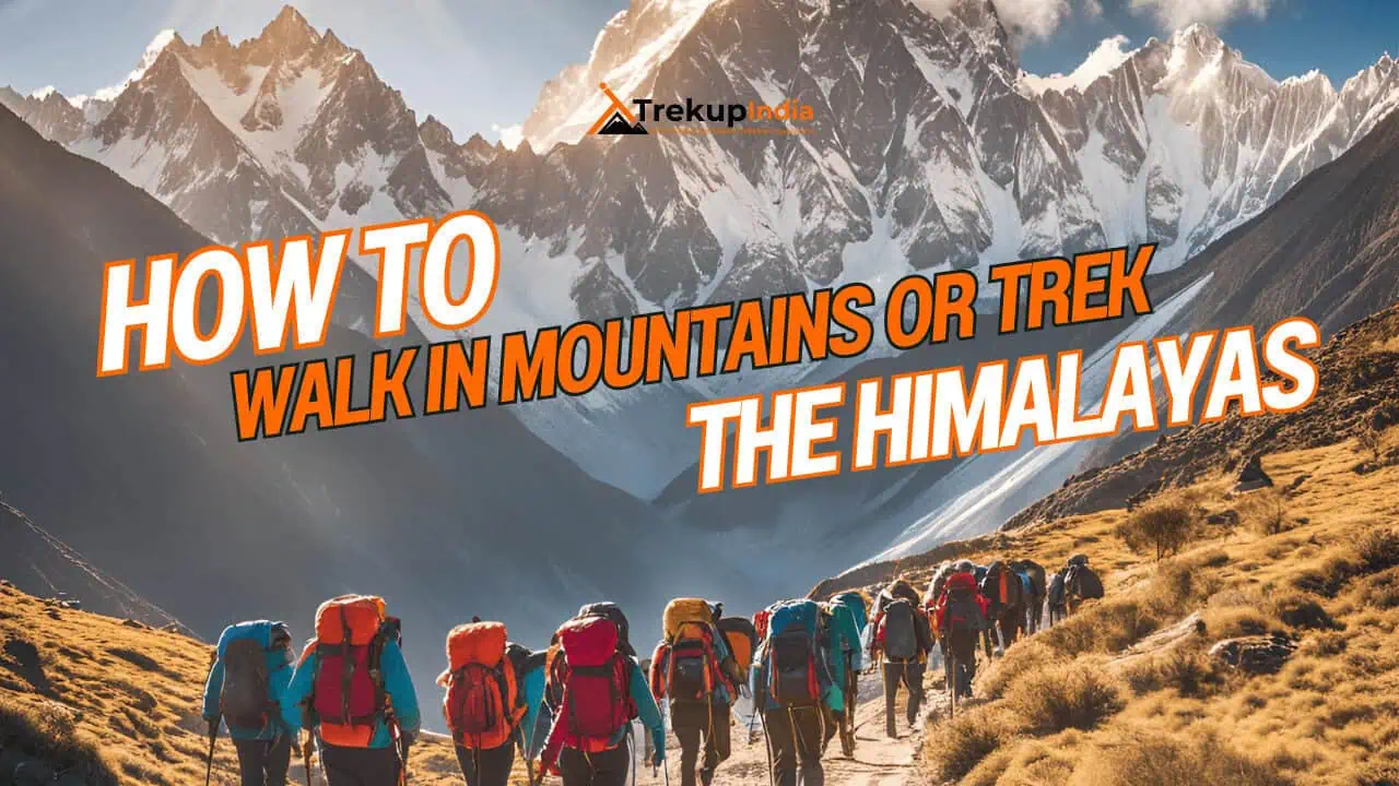 First Bali Pass Trek of the Season Successfully Completed by Trekup India 16 How To Walk In Mountains Or How To Trek In The Himalayas - Trekup India