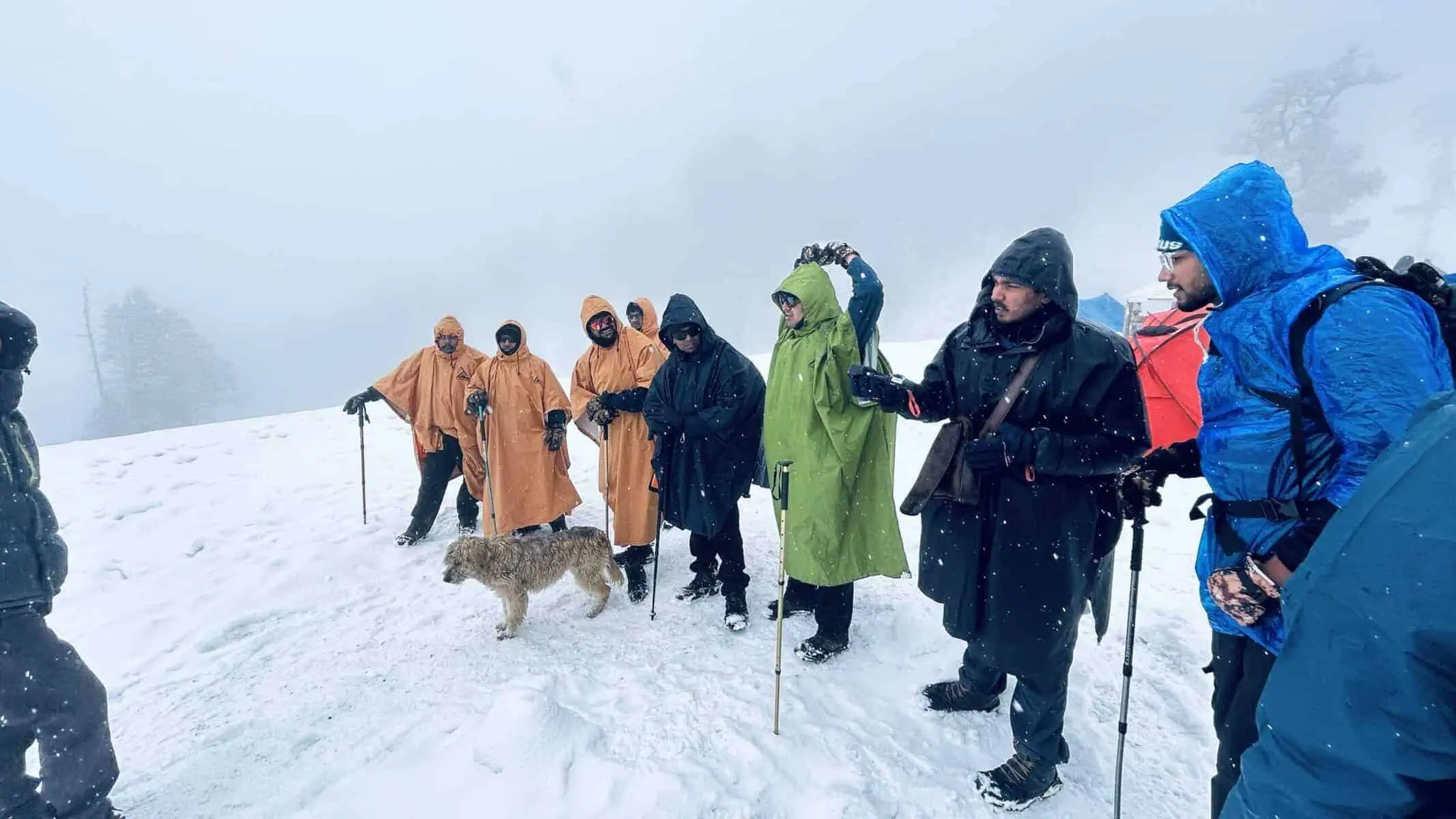 kedarkantha trek