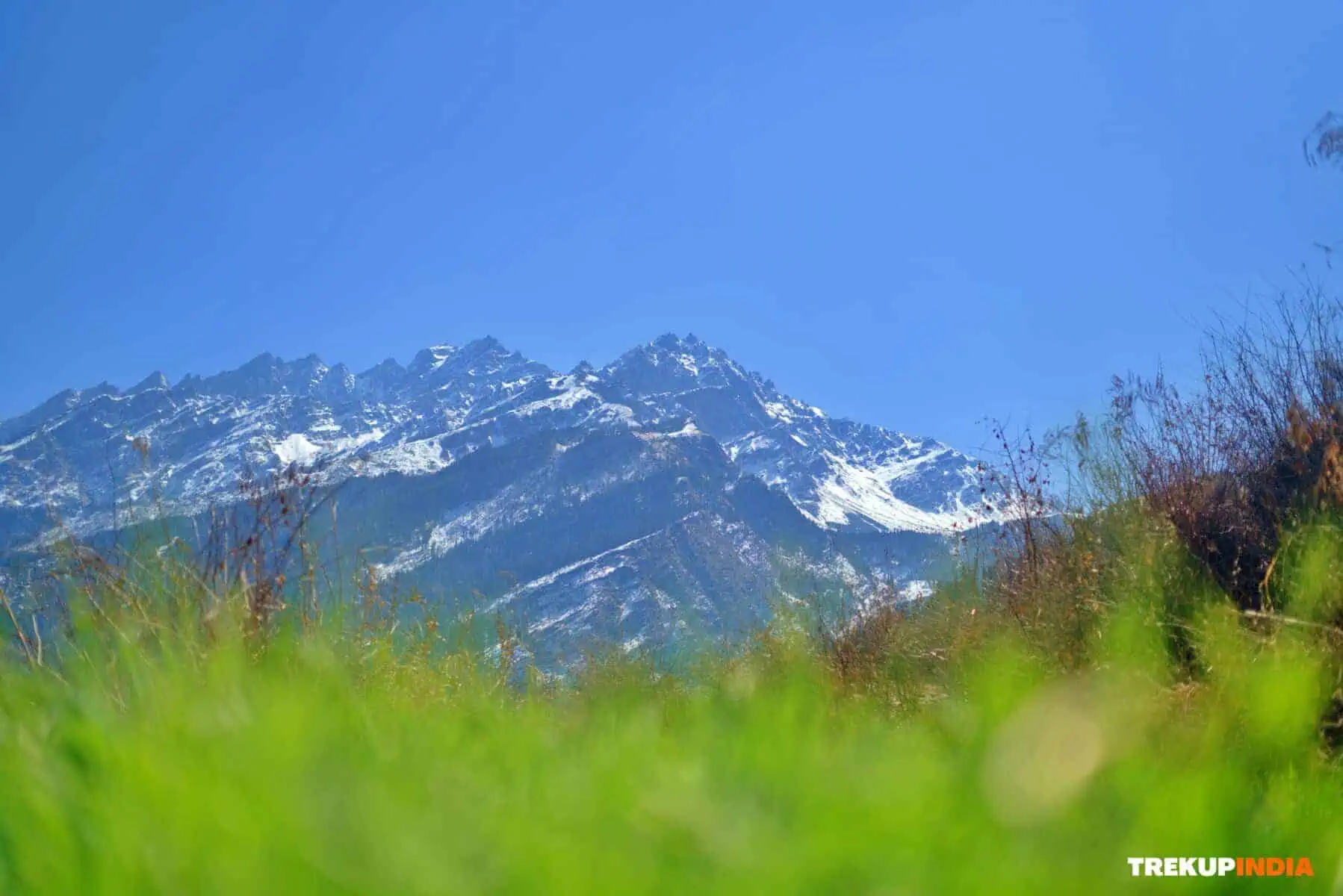 Kuari Pass Trek, pangarchulla peak trek
