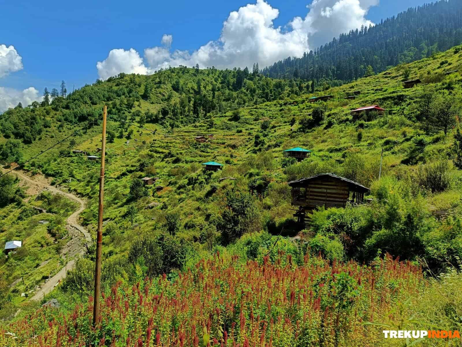 Best Treks to Do in the Autumn Season 4 Phulara Ridge Trek