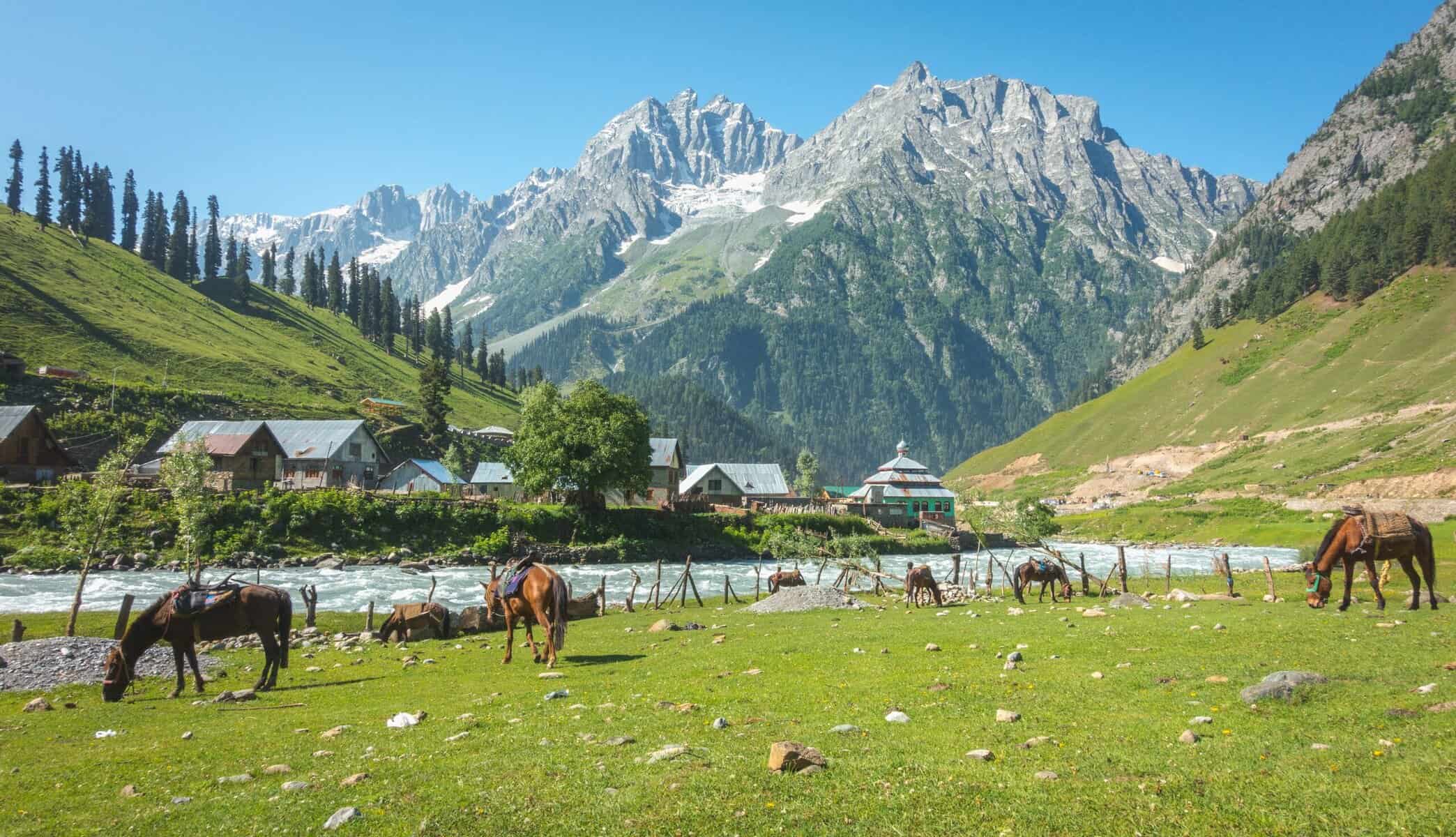 Best Treks in India: Region-Wise Guide for Every Trekker 26 Kashmir Great Lakes Trek