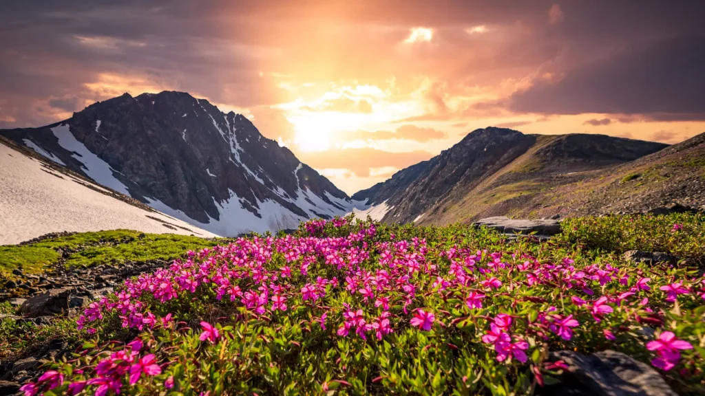 Valley of Flowers – A UNESCO World Heritage Site 2 Valley Of Flowers Trek