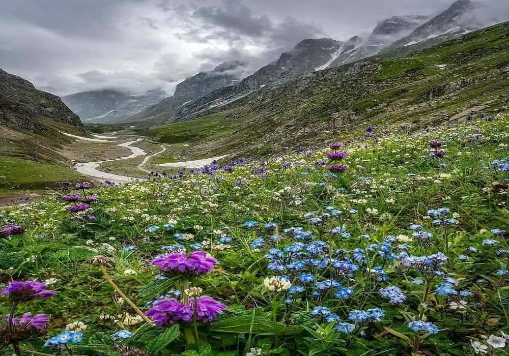 Hampta Pass Trek