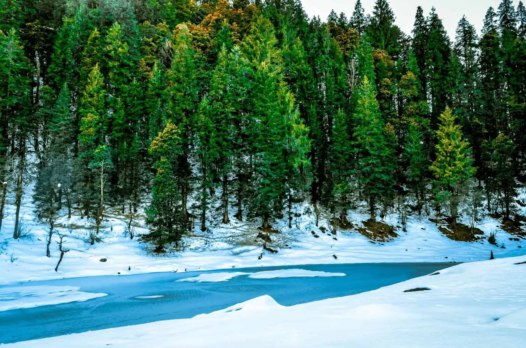 Best Treks in India: Region-Wise Guide for Every Trekker 8 Juda ka Talab Kedarkantha Trek