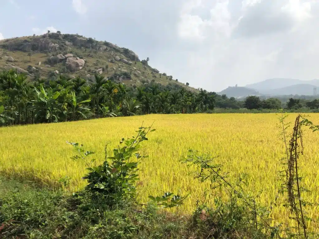 Trekking Places Near Bangalore