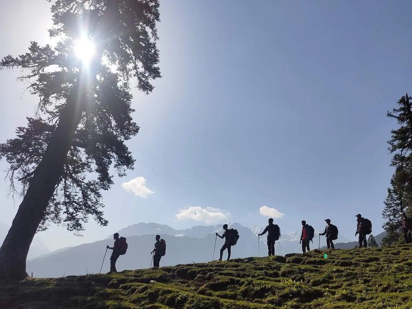 a stunning journey through forest and peaks