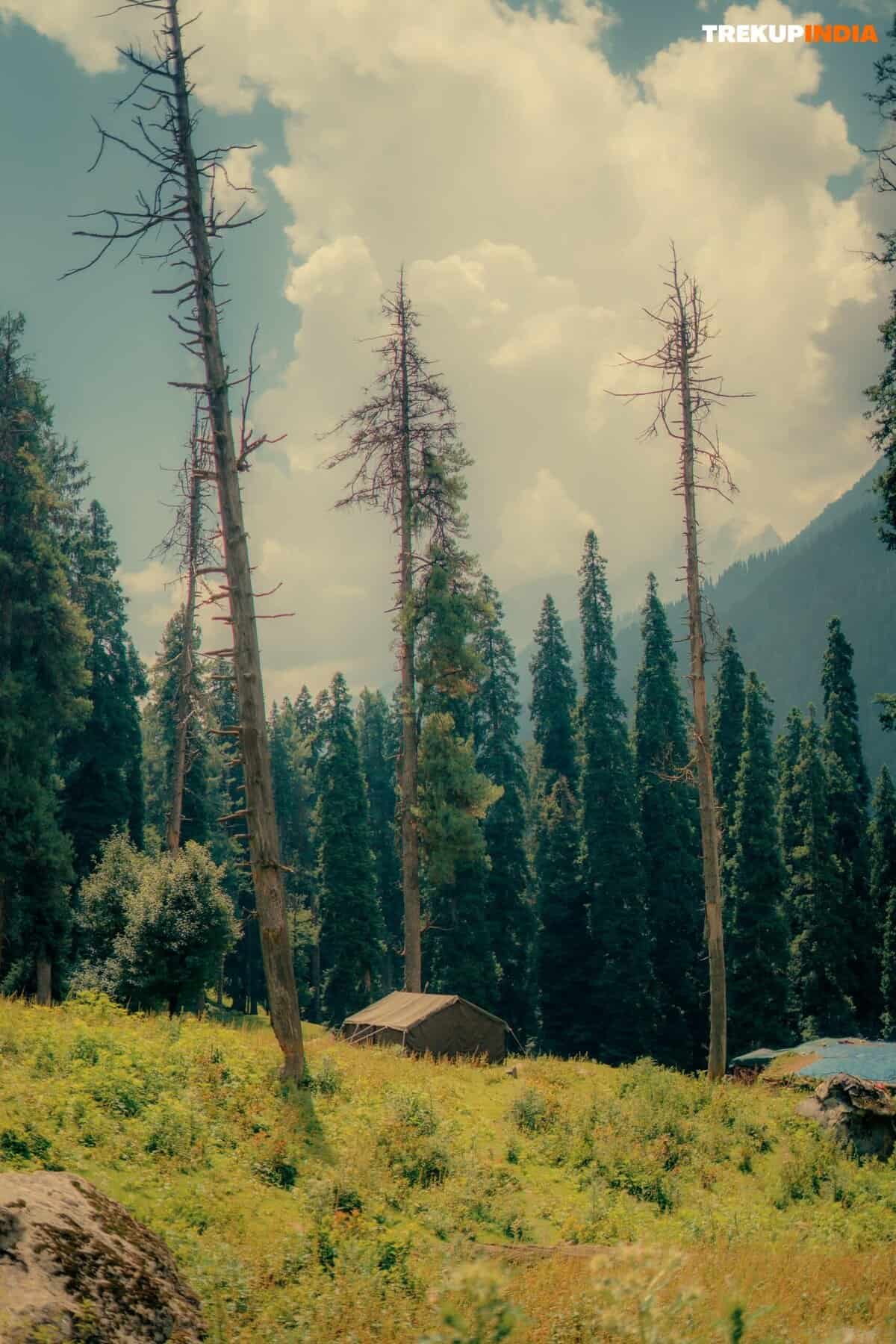 Tarsar Marsar Trek Difficulty: Expert Insights & Tips