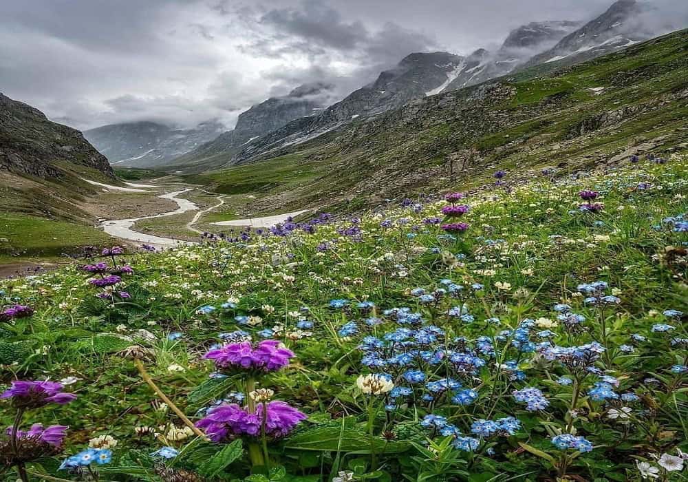 What makes Hampta Pass the Valley of Flowers in Himachal Pradesh?