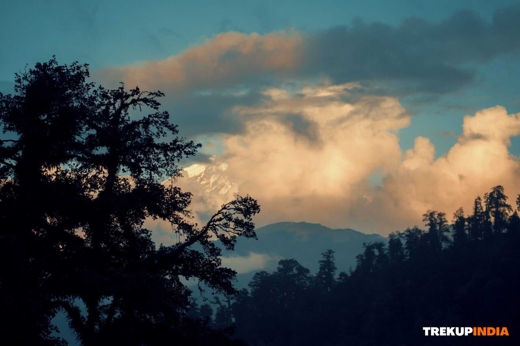 Why the Dayara Bugyal trek is perfect for everyone? 7 dayara bugyal trek