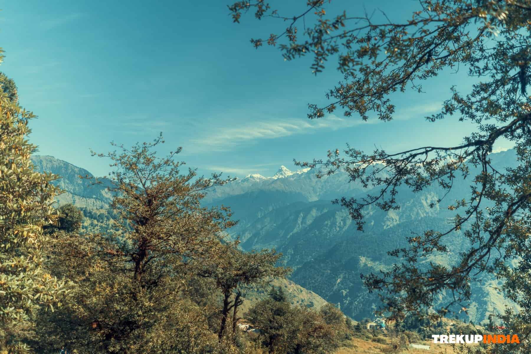 Best Treks for Beginners: Top Himalayan Treks you can start your Trekking Journey with 1 dayara bugyal trek