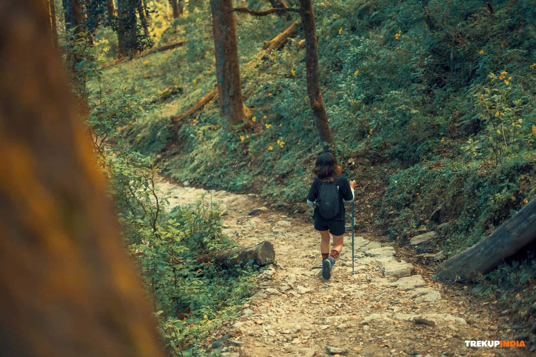 Dayara Bugyal Trek: Best-Kept Secrets & Uttarakhand’s Hidden Trails 2 dayara bugyal trek