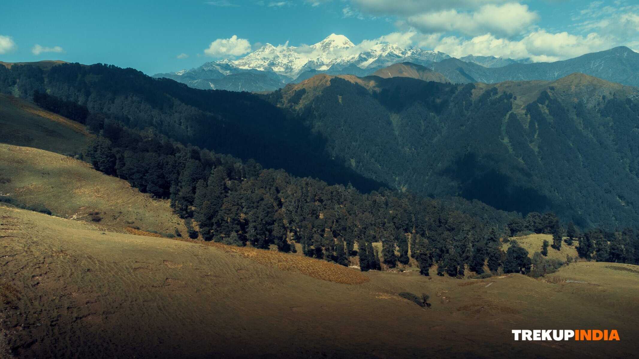 Why the Dayara Bugyal trek is perfect for everyone? 6 dayara bugyal trek
