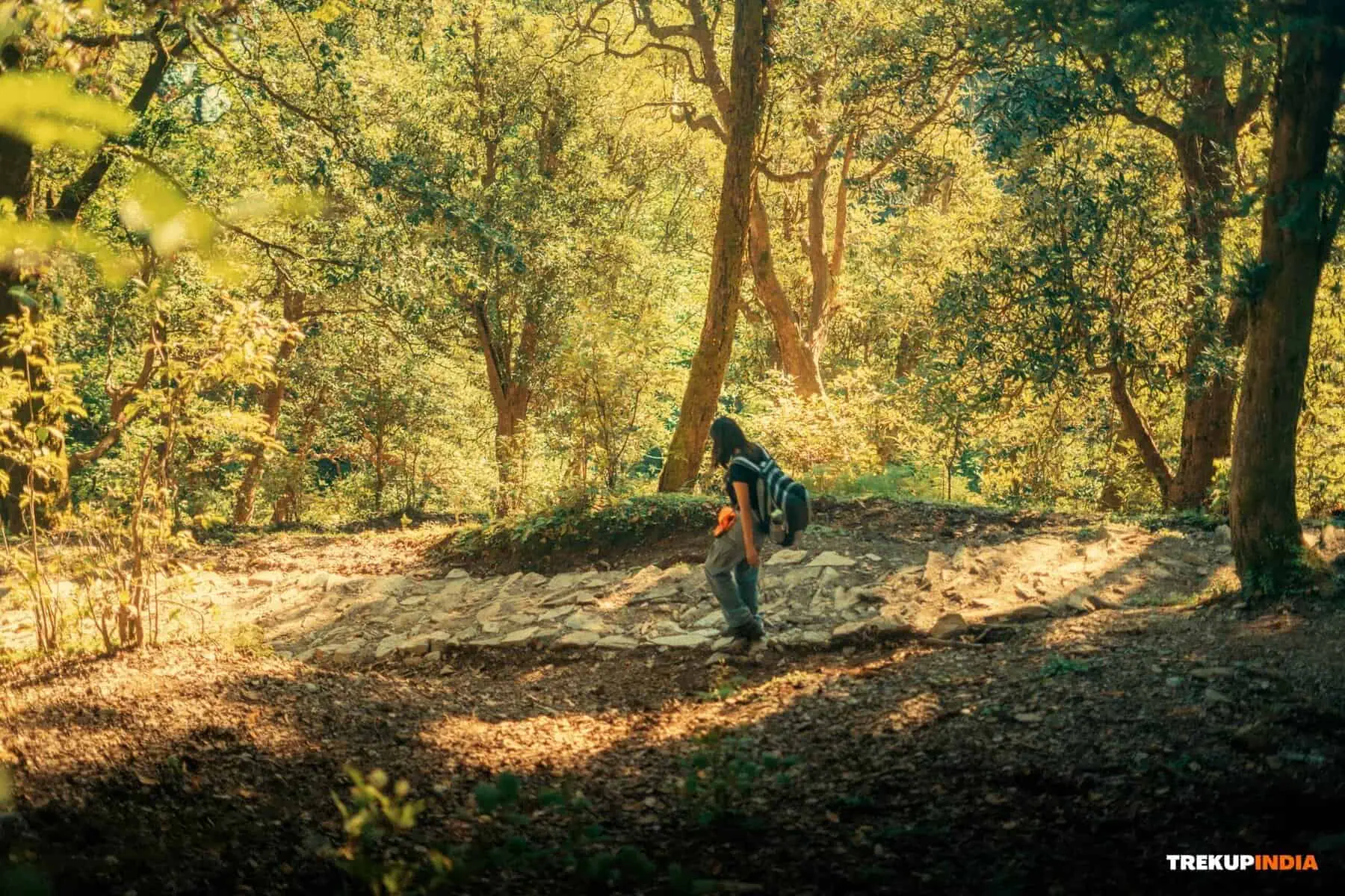 dayara bugyal trek