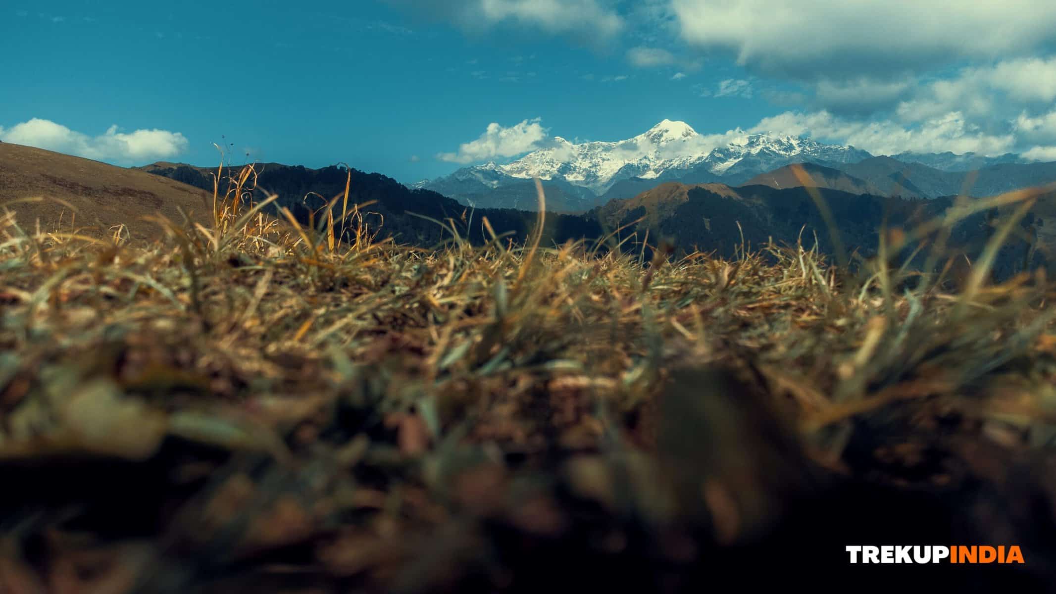 Why the Dayara Bugyal trek is perfect for everyone? 8 dayara bugyal trek