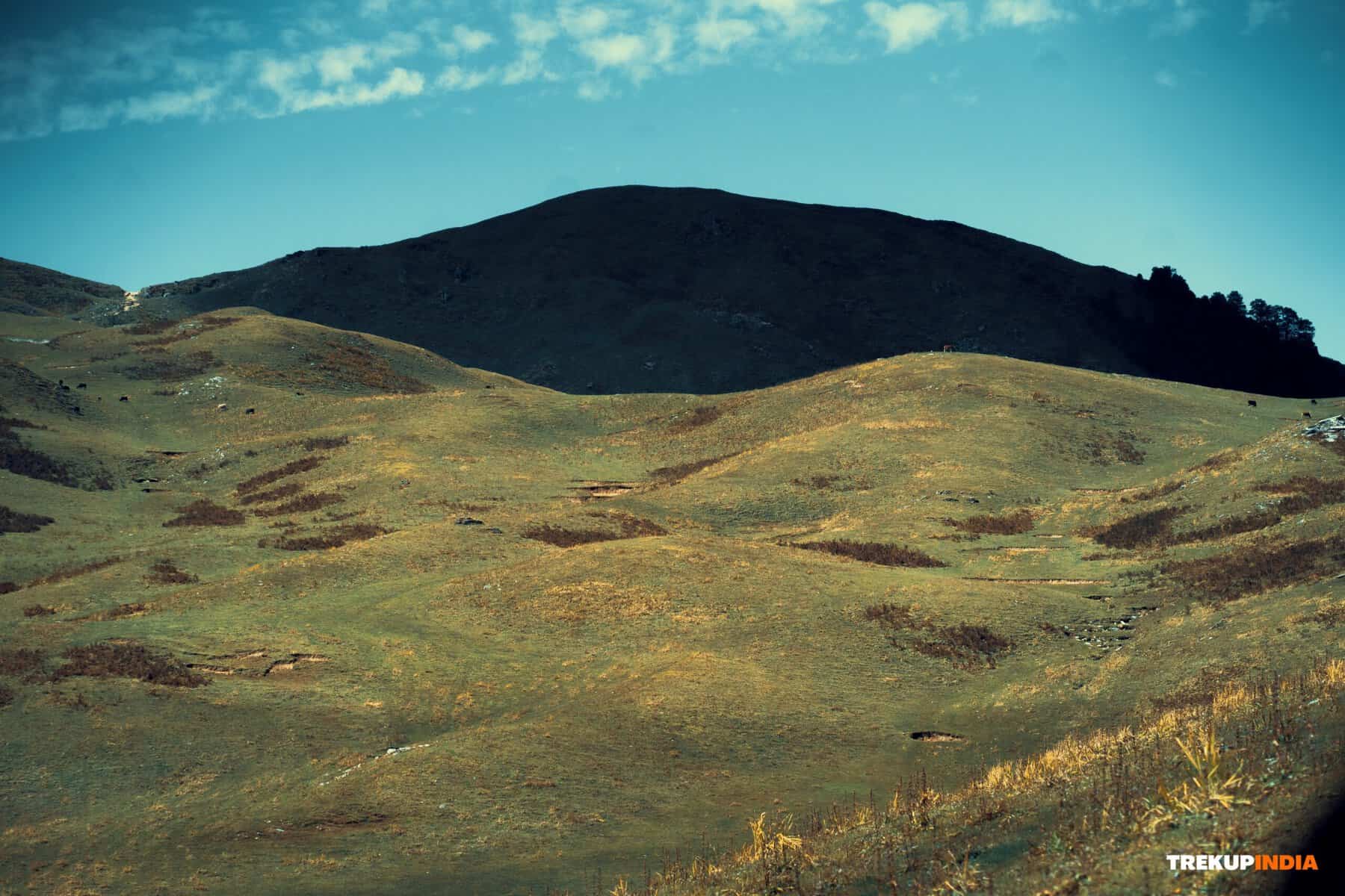 Best Treks in India: Region-Wise Guide for Every Trekker 2 dayara bugyal trek