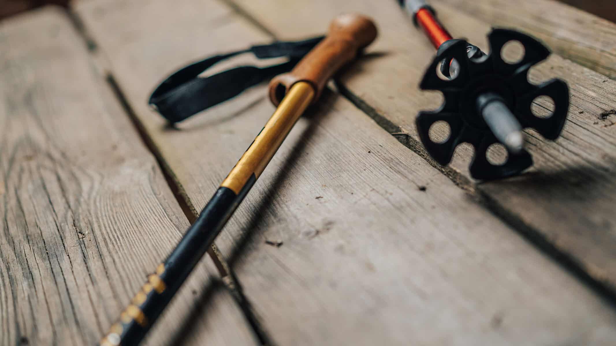 How to Use Trekking Poles - Complete Guide for Trekkers 1 How to use Trekking Poles