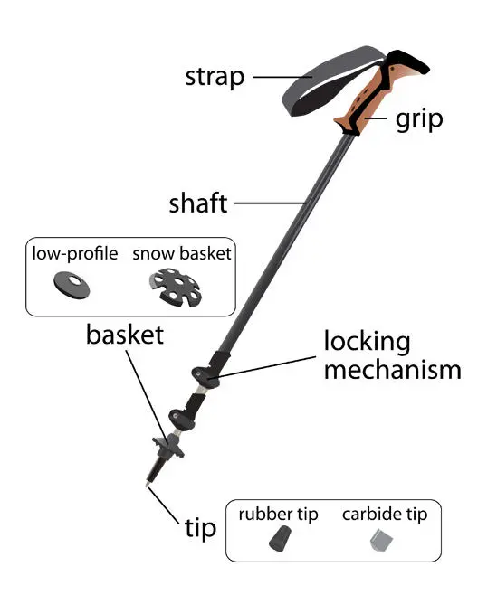 How to Use Trekking Poles - Complete Guide for Trekkers 2 Trekking Poles