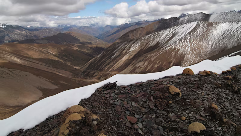 Laya Gasa Trek