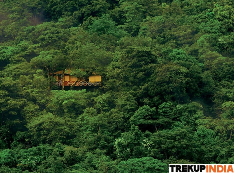 Banasura Hill Trek