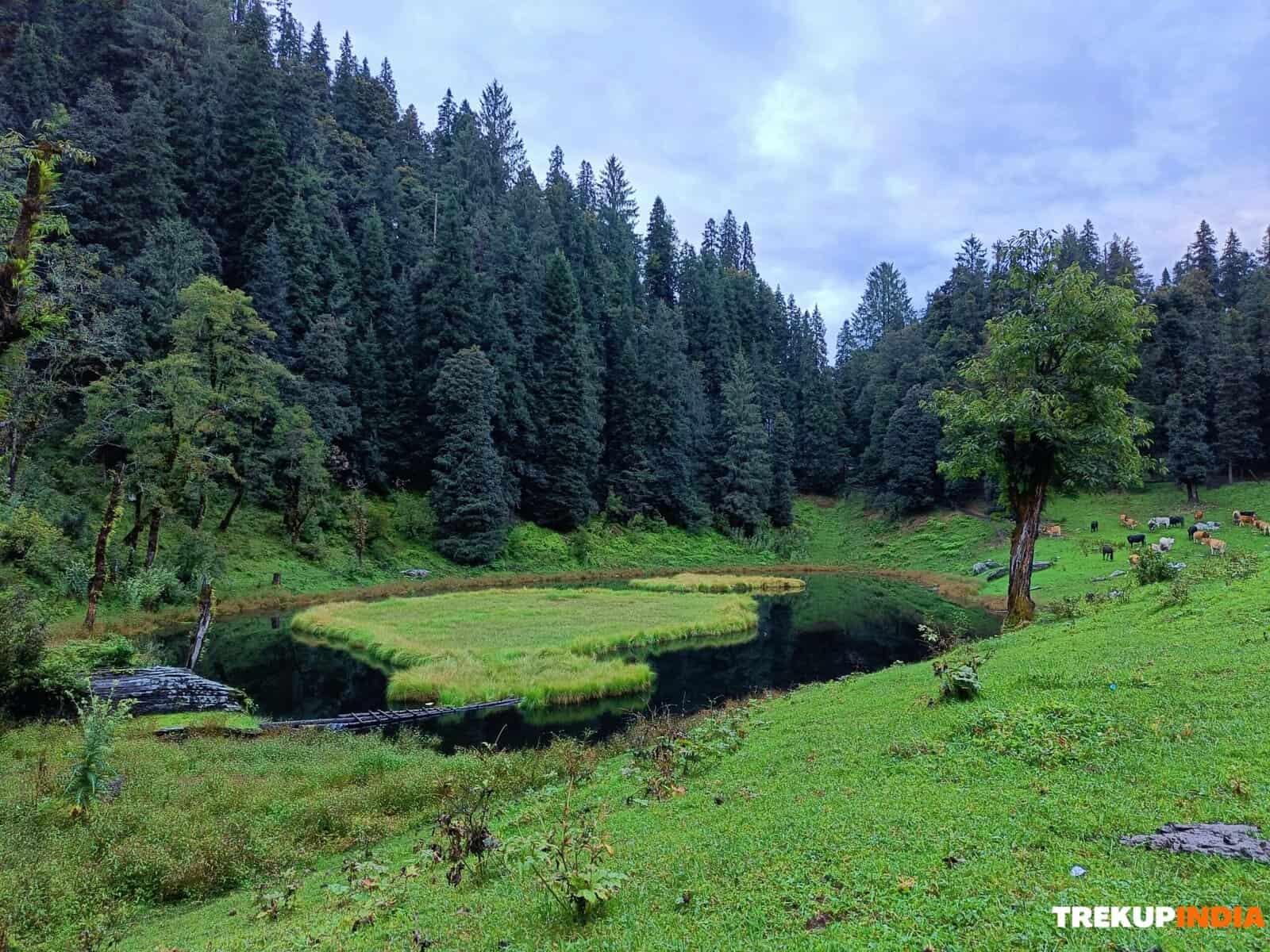 Phulara Ridge Trek